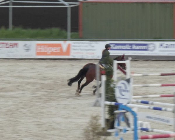 Reitturnier Harsum-Hüddessum 2021
