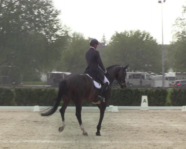 Reitturnier Elmshorn 2021