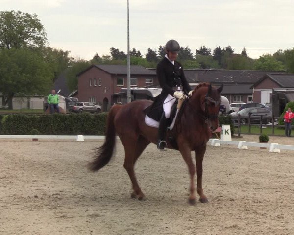 Reitturnier Elmshorn 2021
