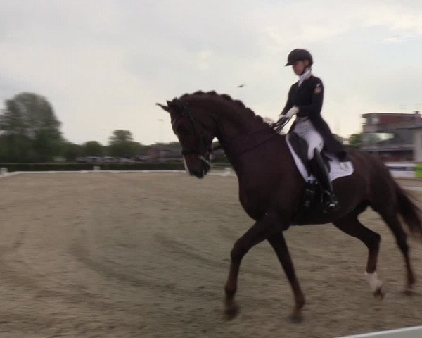 Reitturnier Elmshorn 2021