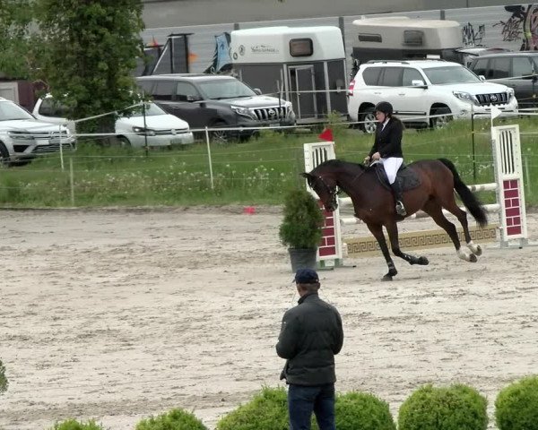 Reitturnier Basel Schänzli 2021
