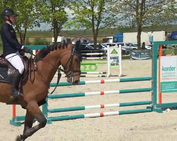 Reitturnier Rot am See- Musdorf 2021