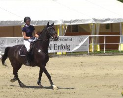 jumper FBW Quickly (Württemberger, 2003, from Quidam's Rubin)