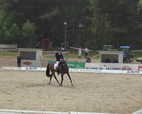 Reitturnier Rastede-Nethen 2021