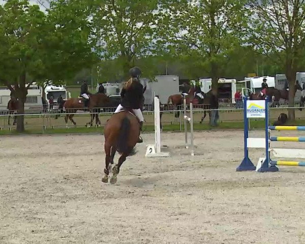 Reitturnier Rot am See- Musdorf 2021
