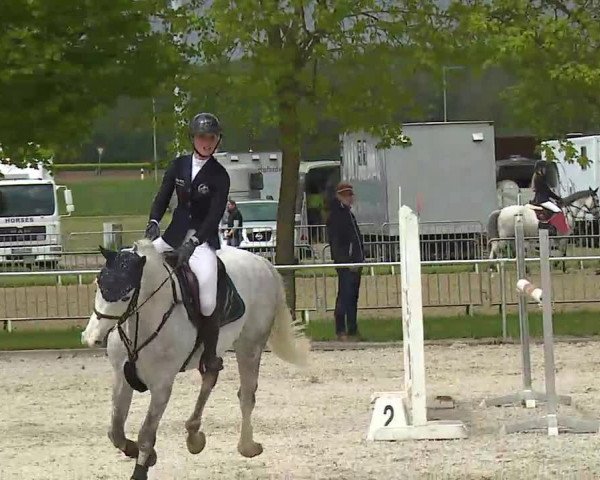 Reitturnier Rot am See- Musdorf 2021