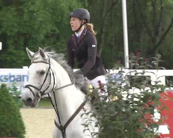 broodmare Quanta la Mera 2 (Holsteiner, 2005, from Quinar)
