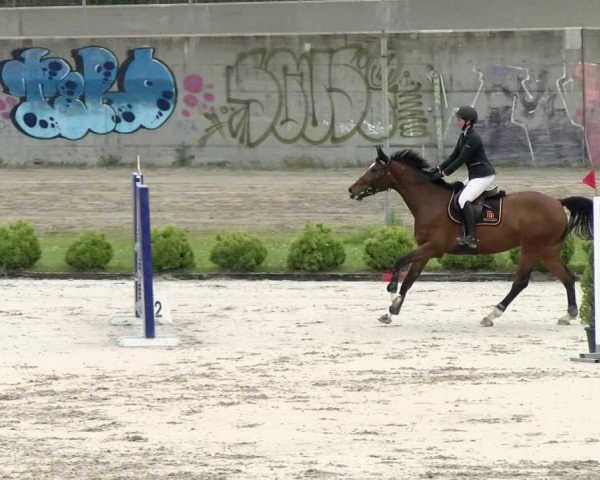 Reitturnier Basel Schänzli 2021