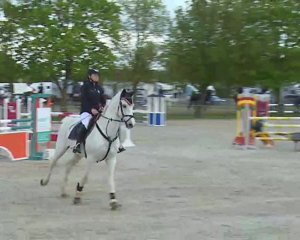 Reitturnier Rot am See- Musdorf 2021