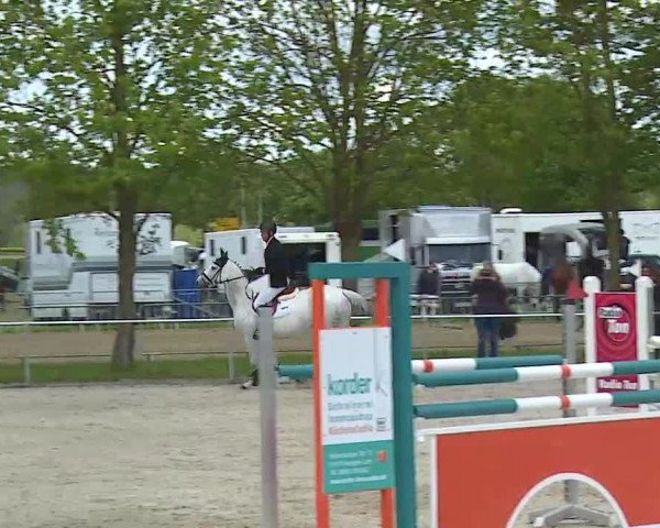 Reitturnier Rot am See- Musdorf 2021