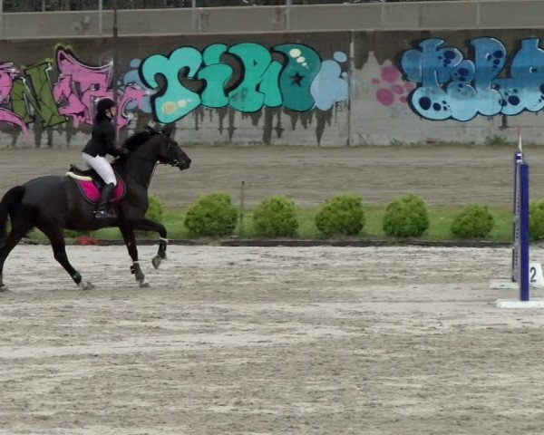 Reitturnier Basel Schänzli 2021