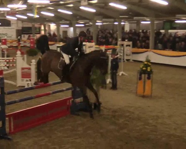 jumper Carin 2 (Holsteiner, 2005, from Carinjo)