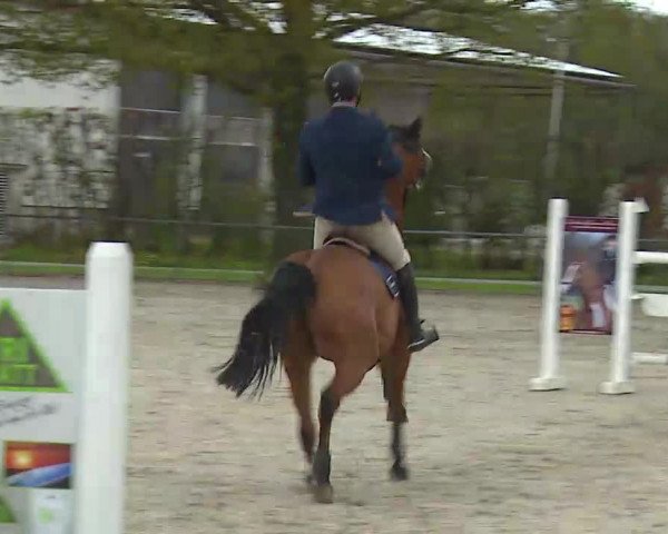 Reitturnier Rot am See- Musdorf 2021