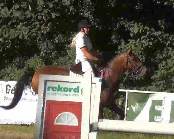 jumper Cantana 12 (Holsteiner, 2002, from Cash and Carry)