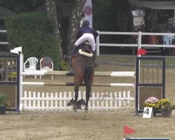 jumper Alessi 16 (Holsteiner, 2005, from Acodetto I)