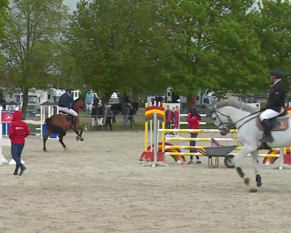 Reitturnier Rot am See- Musdorf 2021