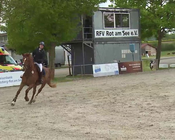 Reitturnier Rot am See- Musdorf 2021