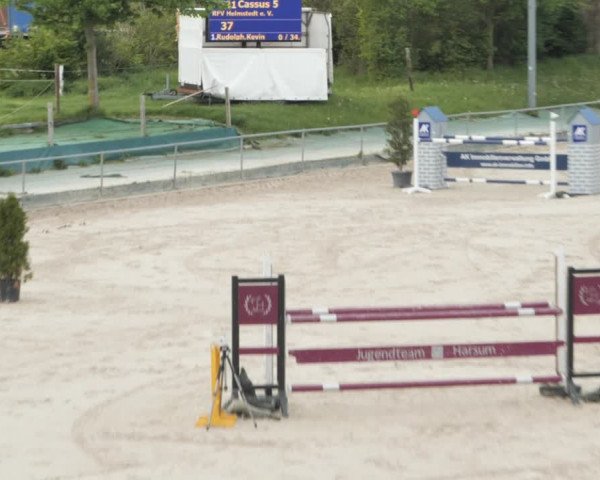 Reitturnier Harsum-Hüddessum 2021