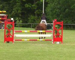 jumper Quatschkopf (Oldenburg, 2002, from Quo Vados I)