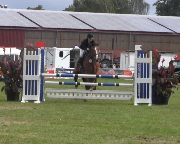 jumper Cambridge 13 (Oldenburg, 1996, from Cordalme Z)