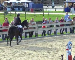 jumper Hannes (Trakehner, 2004, from Sixtus)