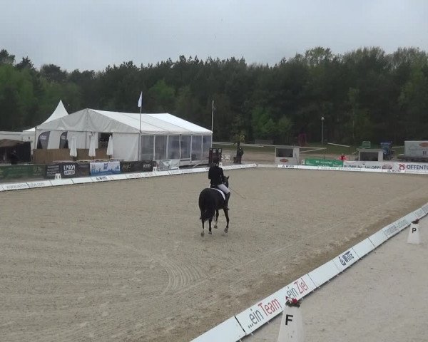 Reitturnier Rastede-Nethen 2021