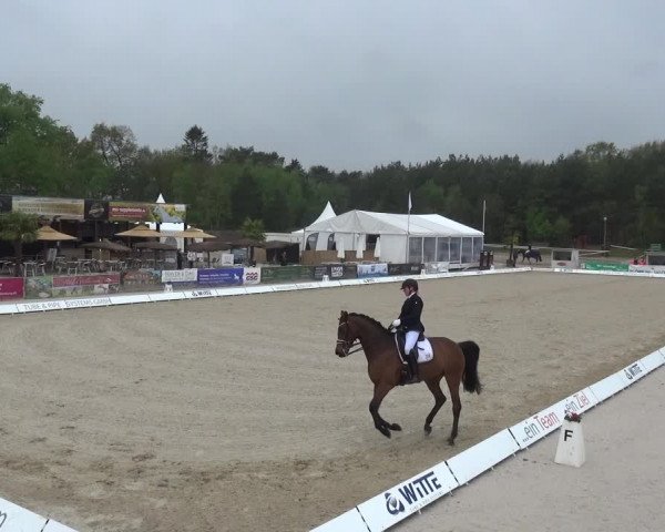 Reitturnier Rastede-Nethen 2021