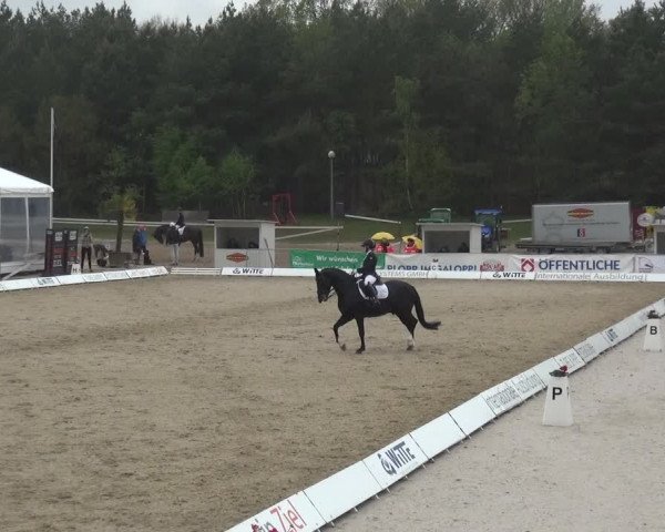 Reitturnier Rastede-Nethen 2021