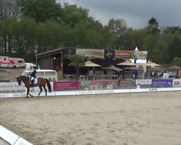 Reitturnier Rastede-Nethen 2021