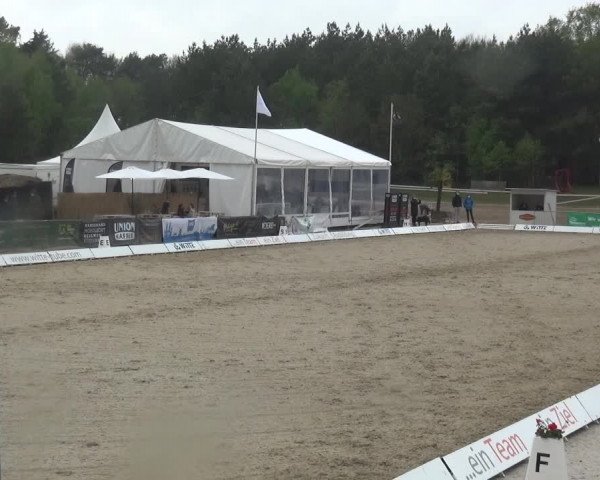 Reitturnier Rastede-Nethen 2021