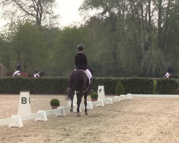 Reitturnier Elmshorn 2021