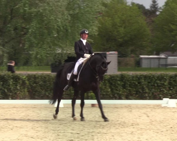 Reitturnier Elmshorn 2021