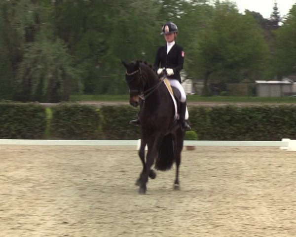 Reitturnier Elmshorn 2021