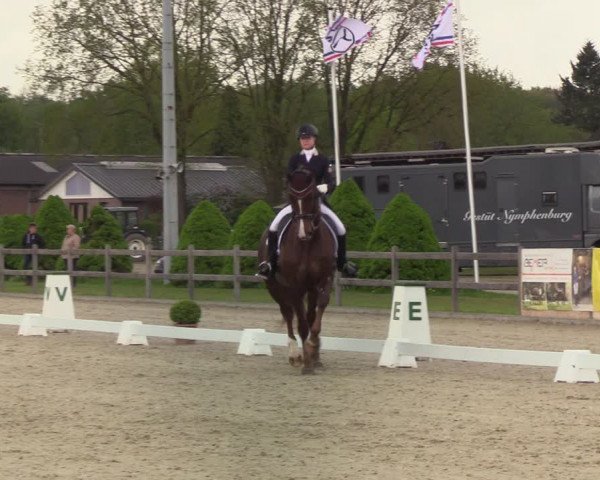 Reitturnier Elmshorn 2021