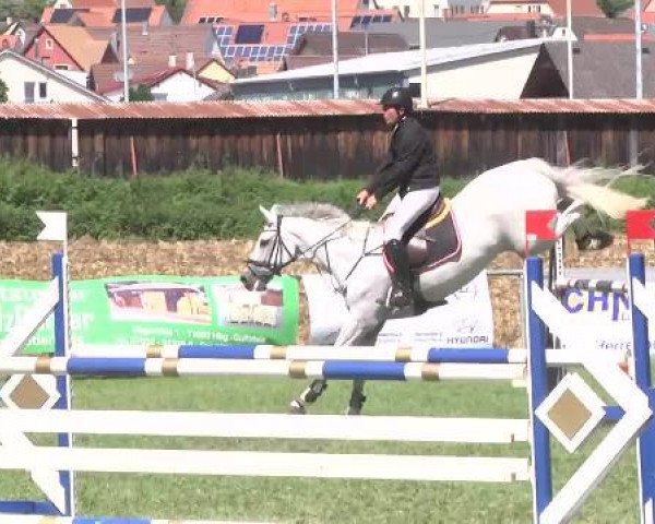 jumper Cindy 728 (Württemberger, 2001, from Come Well)