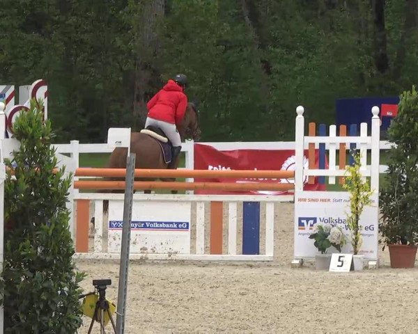jumper Perla 37 (Bavarian, 1999, from Come Well)