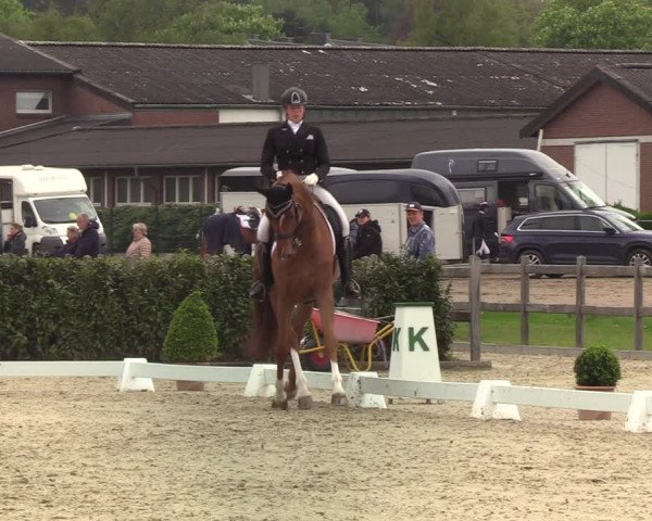 Reitturnier Elmshorn 2021