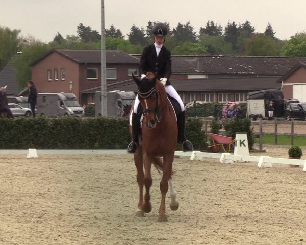 Reitturnier Elmshorn 2021