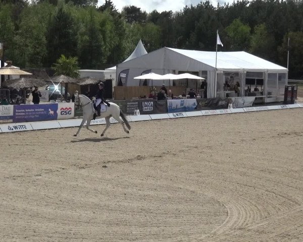Reitturnier Rastede-Nethen 2021