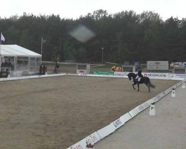 Reitturnier Rastede-Nethen 2021