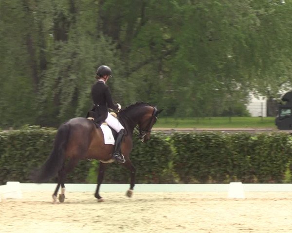 Reitturnier Elmshorn 2021