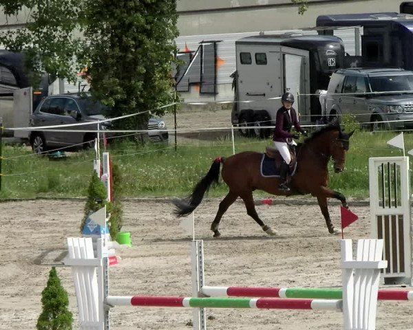 Reitturnier Basel Schänzli 2021