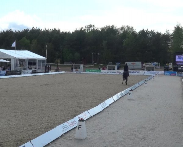 Reitturnier Rastede-Nethen 2021