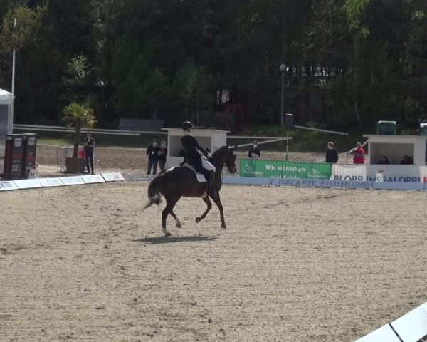 Reitturnier Rastede-Nethen 2021