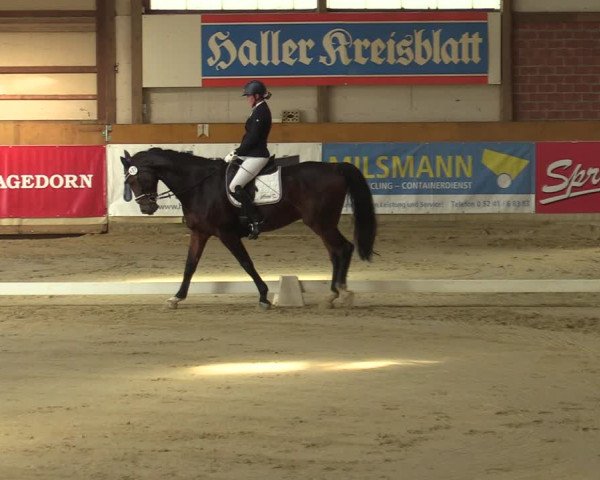 Steinhagen Classics 2021