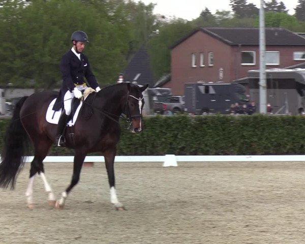 Reitturnier Elmshorn 2021