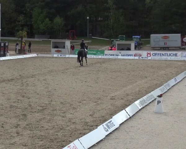 Reitturnier Rastede-Nethen 2021
