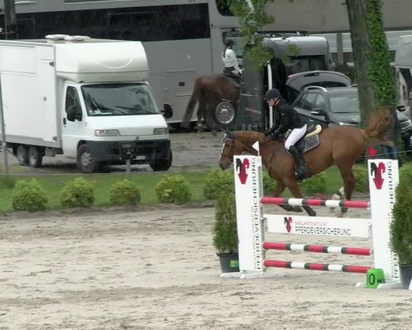 Reitturnier Basel Schänzli 2021
