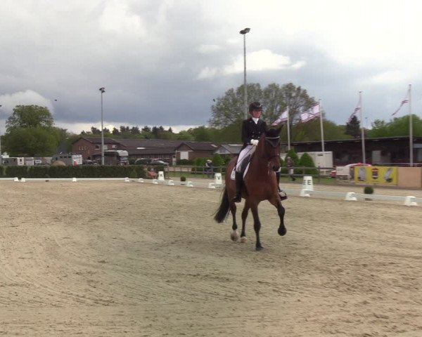 Reitturnier Elmshorn 2021