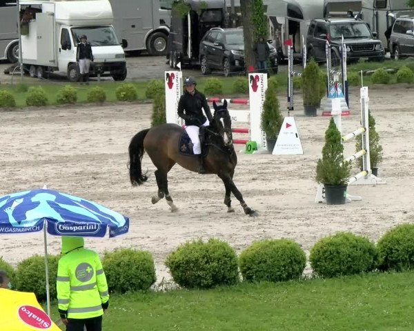 Reitturnier Basel Schänzli 2021